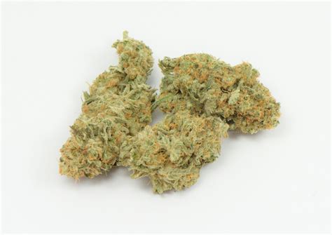 Gelato Marijuana Strain Information & Reviews .